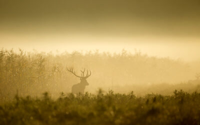 What you don’t know